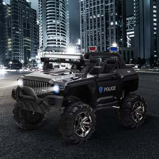 2 seater electric police car